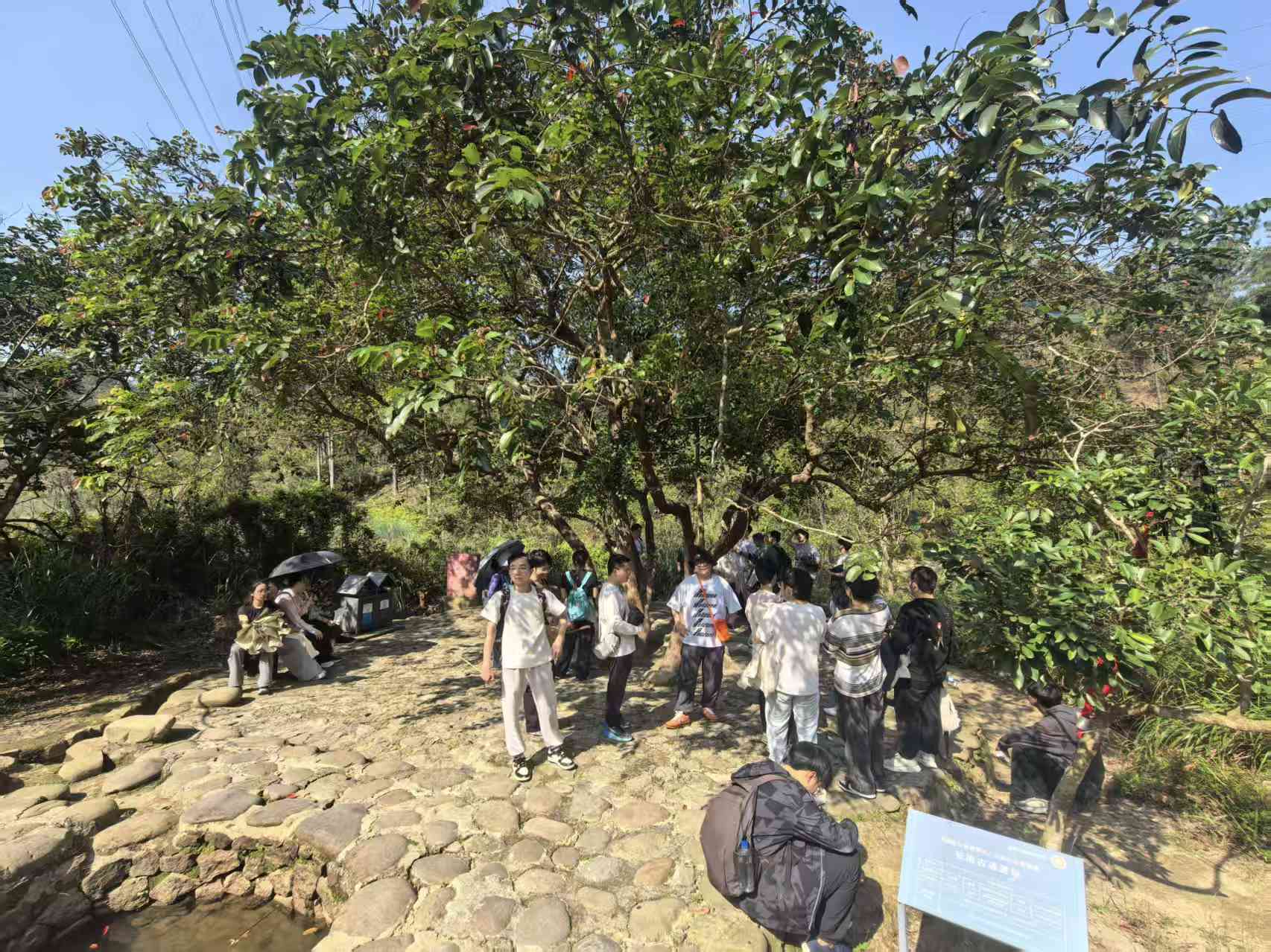 f03ef8e6d28096f8b5abcf5620045370